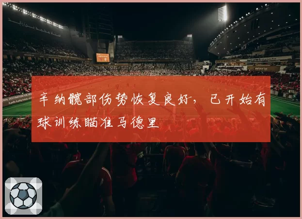 辛纳髋部伤势恢复良好,已开始有球训练瞄准马德里