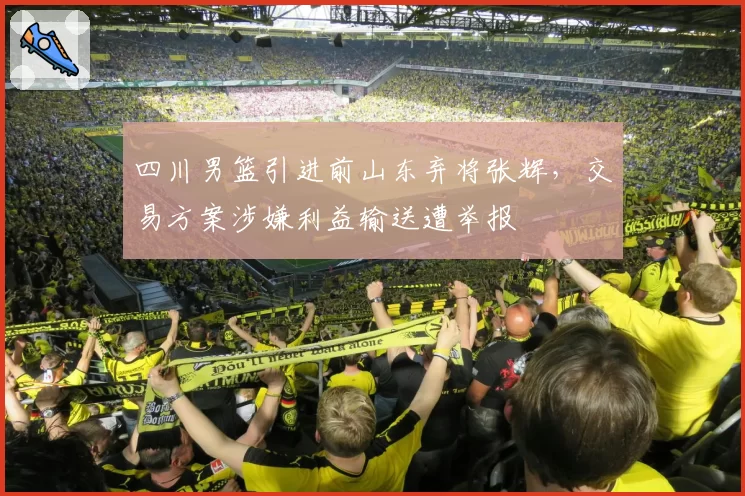 四川男篮引进前山东弃将张辉,交易方案涉嫌利益输送遭举报