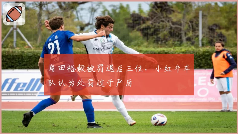 角田裕毅被罚退后三位,小红牛车队认为处罚过于严厉