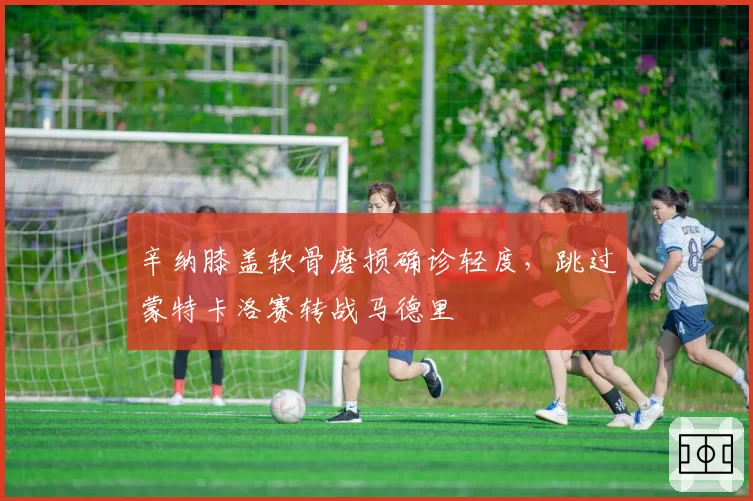 辛纳膝盖软骨磨损确诊轻度，跳过蒙特卡洛赛转战马德里